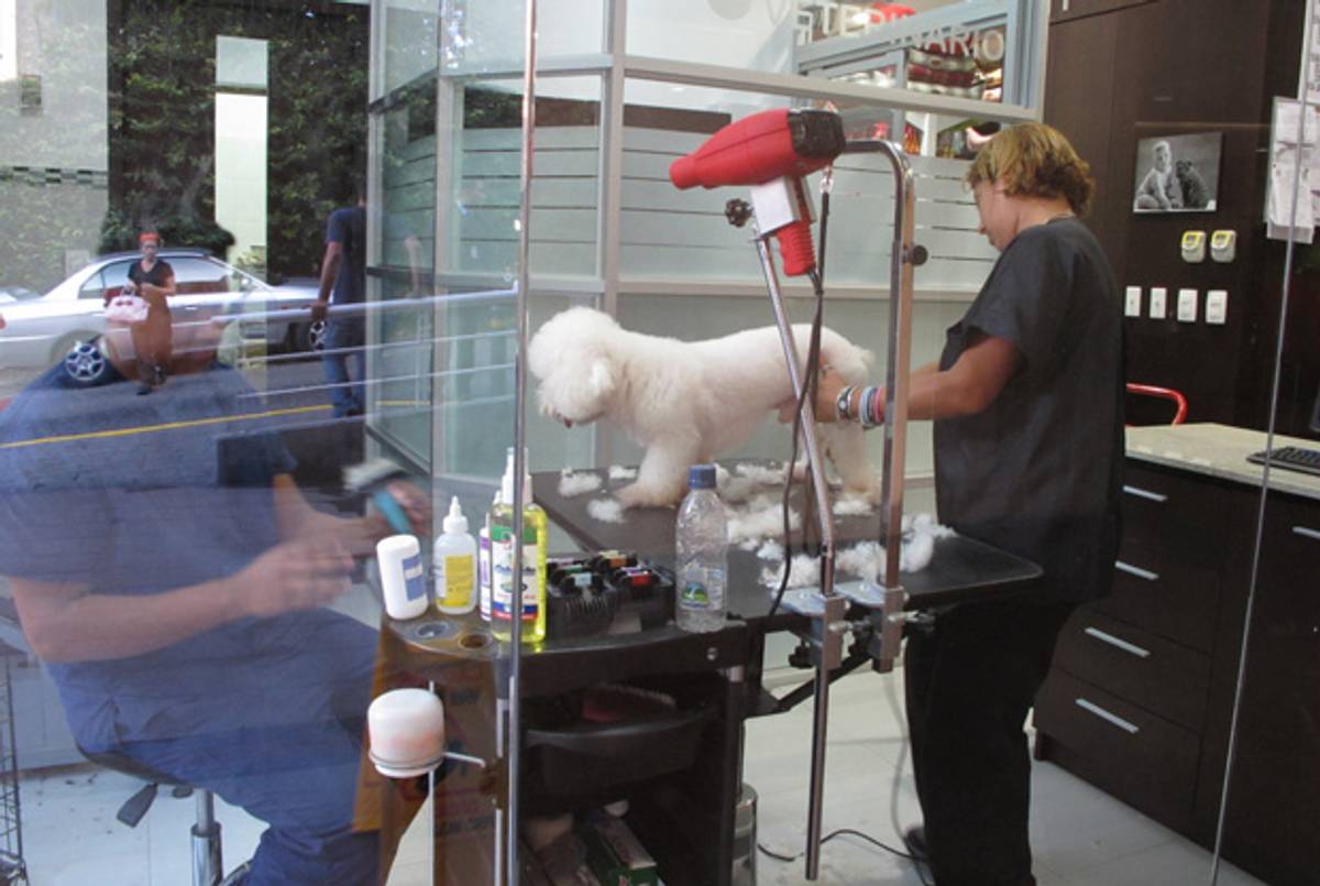 A pet-grooming shop in a small shopping center that attracts a largely Jewish clientele.