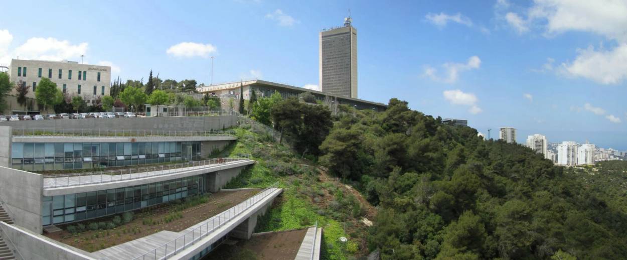 Courtesy University of Haifa