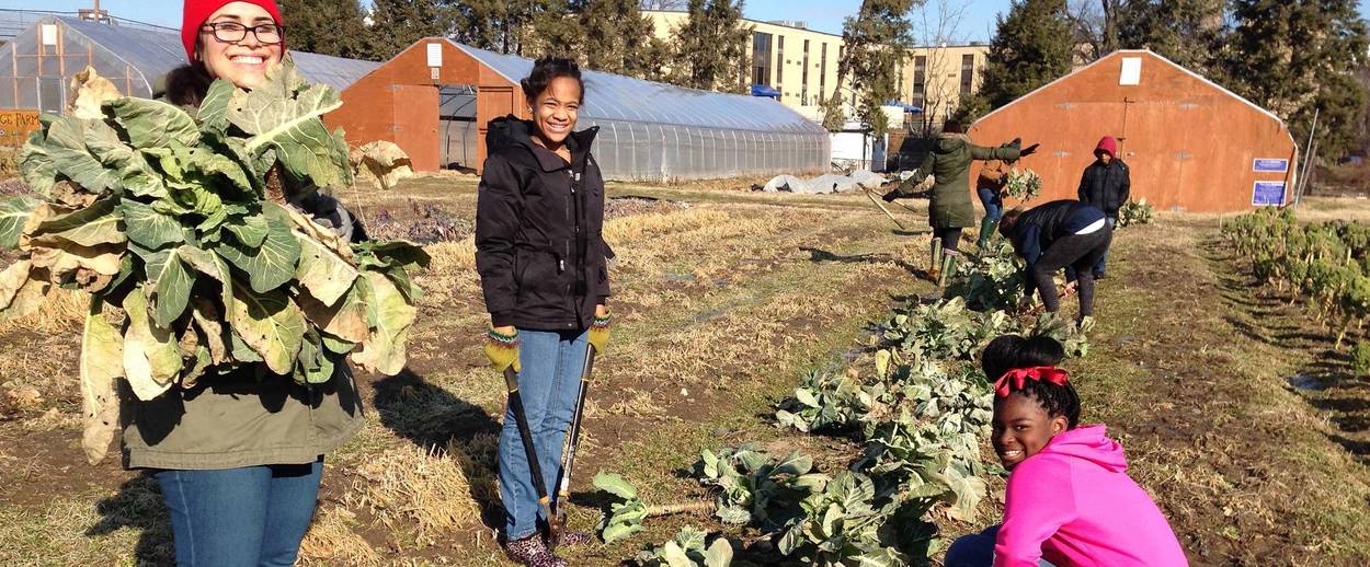 Photo courtesy Jewish Farm School