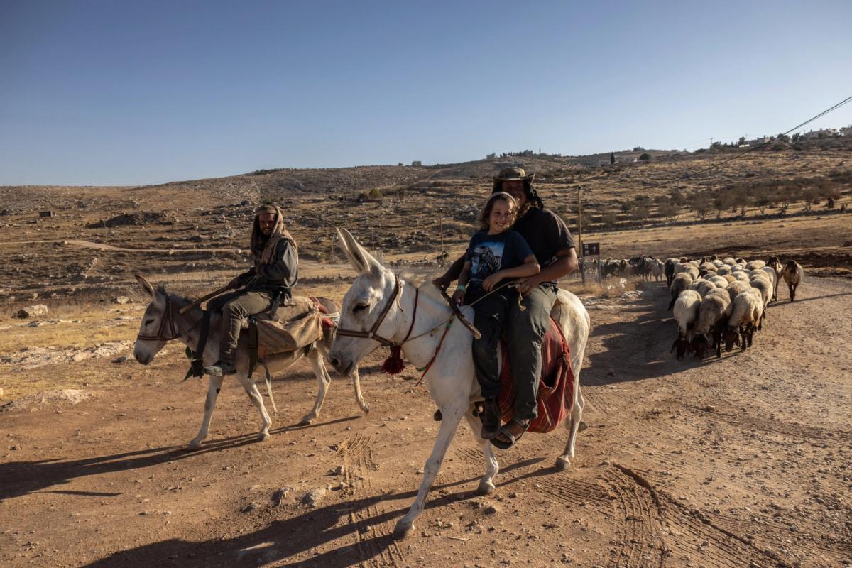 The Settler Violence Myth