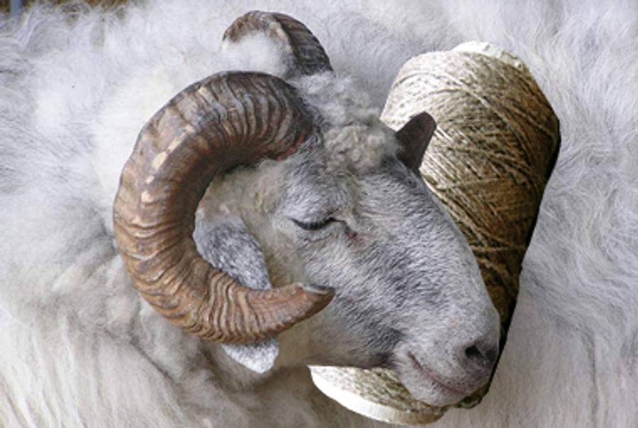 (Photocollage: Tablet Magazine; sheep photo: Jurij Skoblenko; linen photo: The Bees)