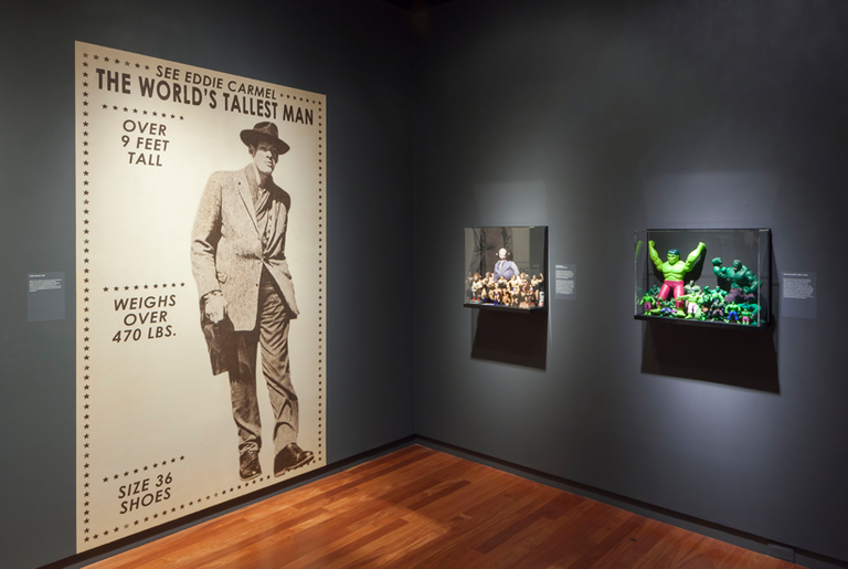 Exhibition installation shot of Masterpieces & Curiosities: Diane Arbus's Jewish Giant.