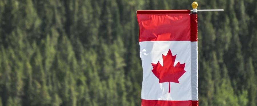 The Canadian flag waving in the breeze in front of an expanse of forest in Banff, Canada. 