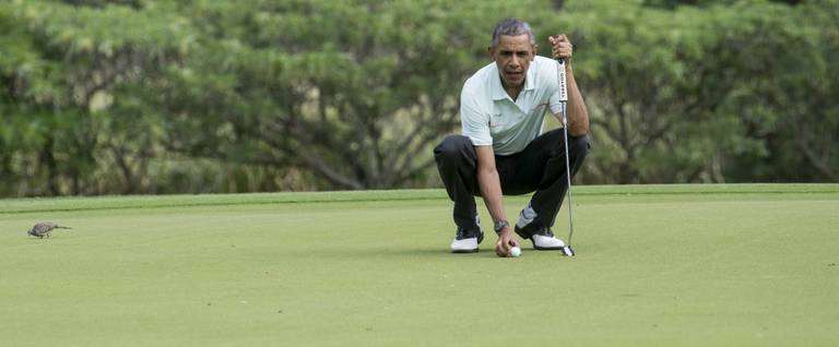 President Barack Obama prepares to putt as plays golf with Malaysian Prime Minister Najib Razzak at Marine Corps Base Hawaii on December 24, 2014. 
