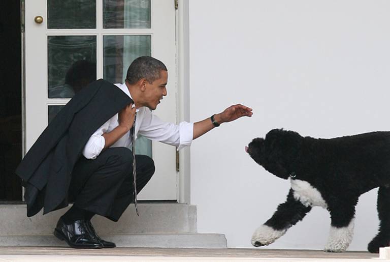 President Barack Obama greets his dog Bo outside the Oval Office of the White House March 15, 2012 in Washington, DC.(Martin H. Simon-Pool/Getty Images)