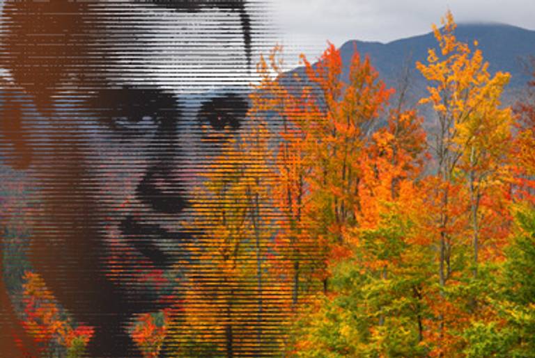 (Photo collage by Tablet Magazine; Salinger photo: Getty Images; New Hampshire photo: istockphoto)