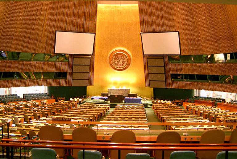 United Nations General Assembly(Wikimedia)