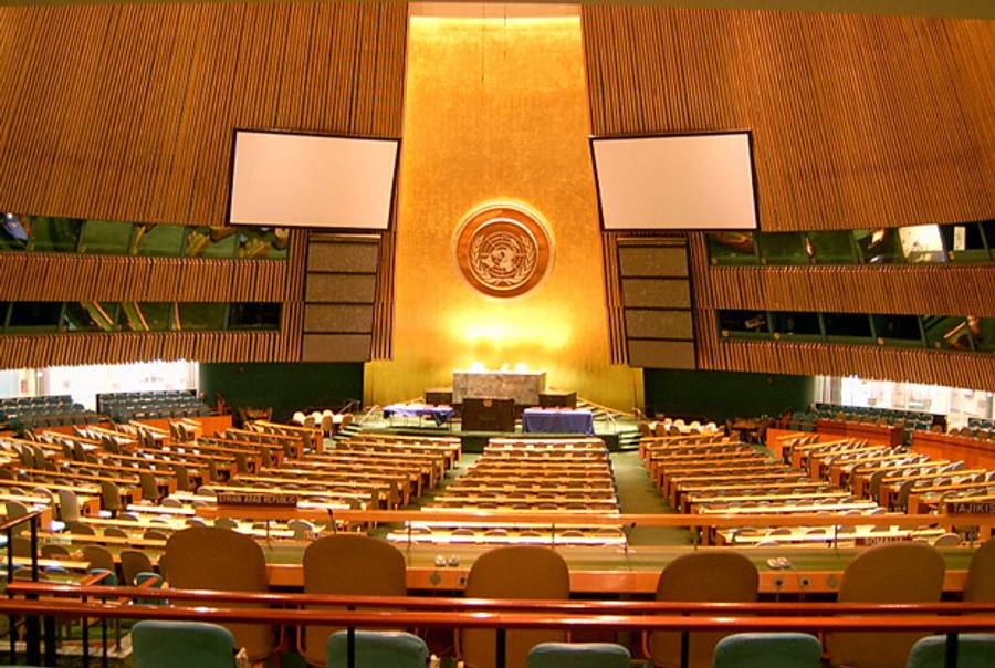 United Nations General Assembly(Wikimedia)