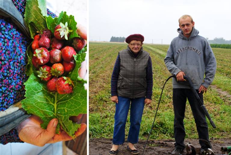 The author's great-aunt, Stasia Szymanska, and cousin, Stasia’s grandson, Pawel Szymanski, on their farm in Chociszewo, Poland, where schoolteacher Wladyslaw Gugla hid during the war. They are both farmers and both live at the house.(Courtesy of the author)