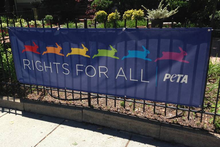 PETA's 'Rights for All' banner in Washington, D.C. (Photo by James Kirchick)