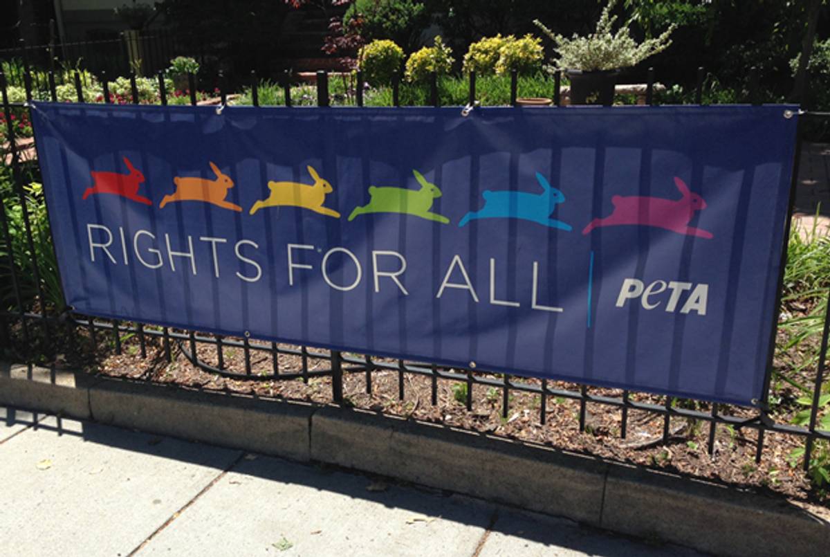 PETA's 'Rights for All' banner in Washington, D.C. (Photo by James Kirchick)