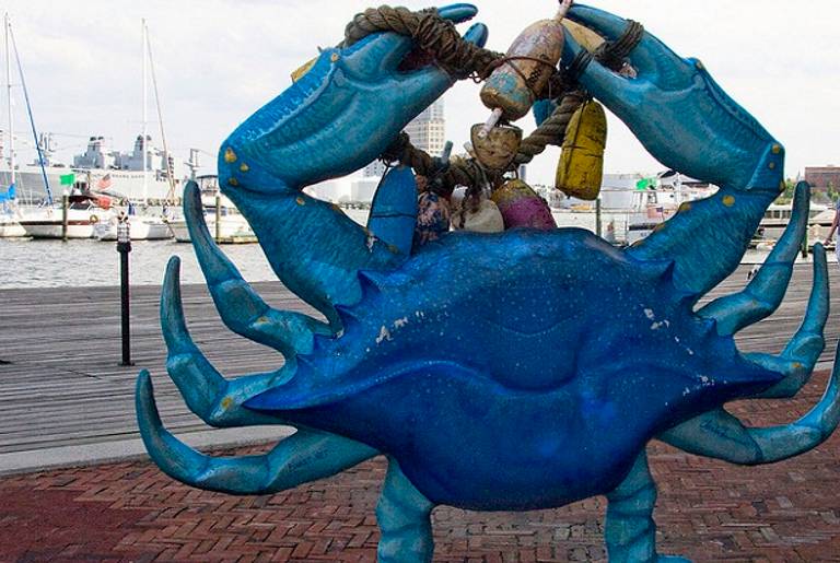 Blue Crab Statue at Baltimore Harbor(Flickr)