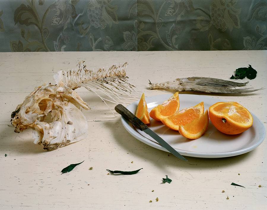 Still Life With Fish & Orange Slices from the series Vanitas.