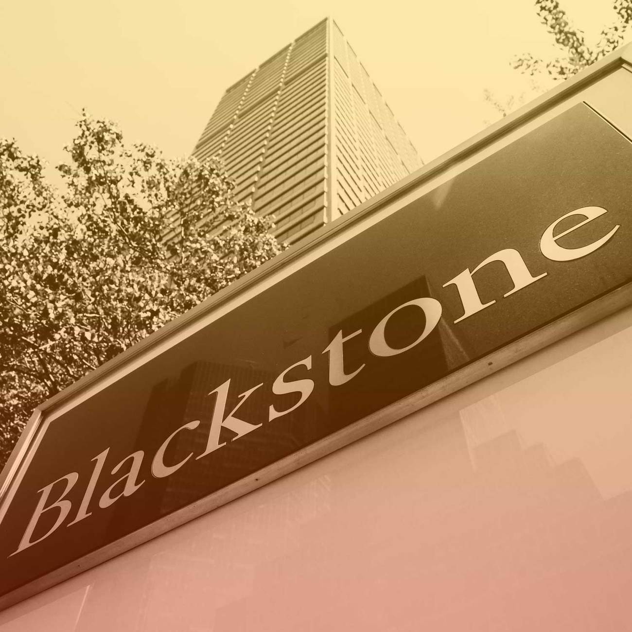 Why Did Investment Firm Blackstone Buy Ancestry?