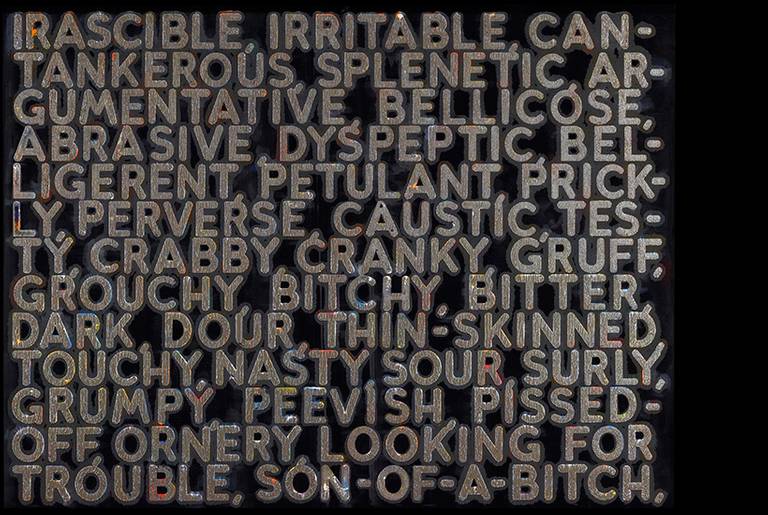 Mel Bochner, Irascible, 2006, oil on velvet, 36.5 X 47.5 inches. Private Collection. Artwork © Mel Bochner.(From the exhibition catalogue, Mel Bochner: Strong Language, co-published by The Jewish Museum, NY, and Yale University Press, 2014.)