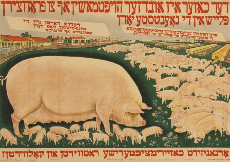 ‘Der khazer iz undzer hoypmashin af tsu prutsirn fleysh in di noeyntste yorn!’ (‘The pig is our main machine for production of meat in the coming years!’) — Yiddish poster promoting the campaign of the People’s Commissariat of Agriculture for development of the Soviet meat-producing industry