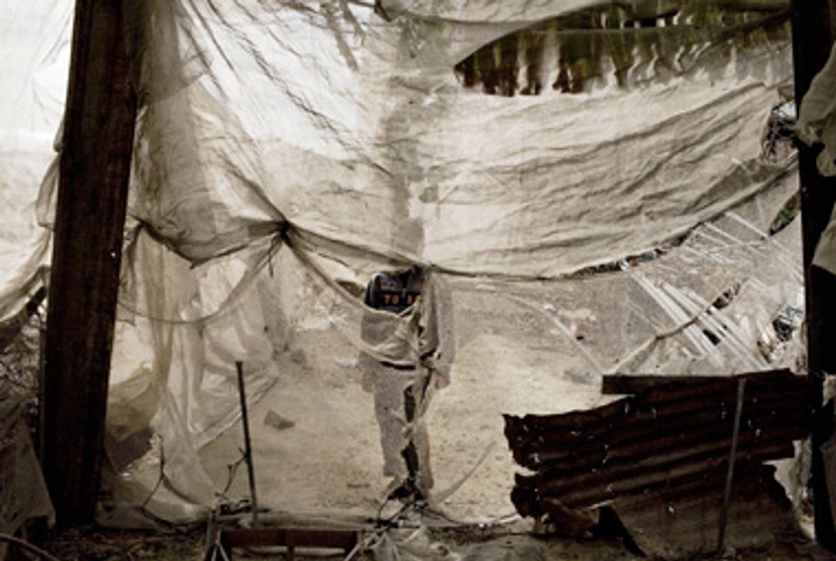 A boy stands behind a screen covering his family's garden damaged during the war in the El-Atatra district of Gaza, January 2009.(Magnum Photos.)