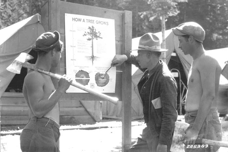 Superintendent Frank S. Robinson explaining to Civilian Conservation Corps boys the new Forest Service diagram of how a tree grows. Lassen National Forest, Calif.