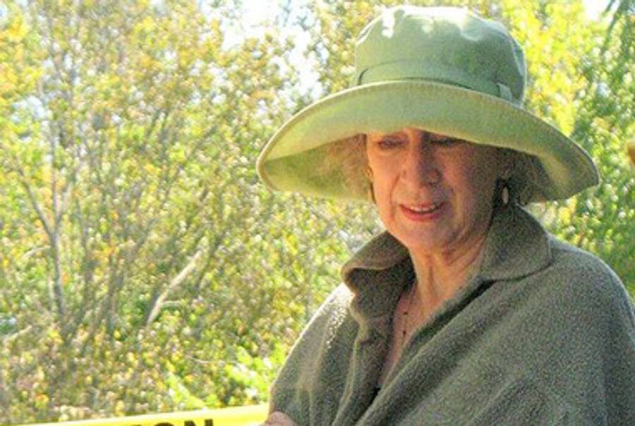 Writer Margaret Atwood.(Wikipedia)