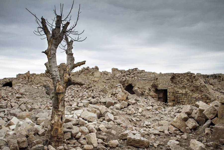 A walnut tree stripped of its branches stands in the rubble of the Kalat al-Numan citadel, originally built during the Roman era some 2,000 years ago, after allegedly being bombed several times by the Syrian air force on Nov. 18, 2012, in Maaret Al-Numan. (John Cantlie/AFP/Getty Images)