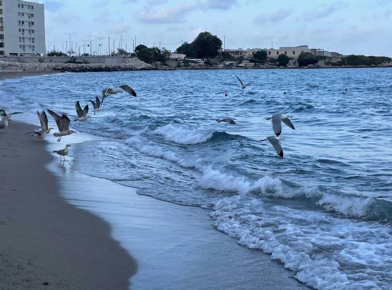 Zephyros Beach, Rhodes